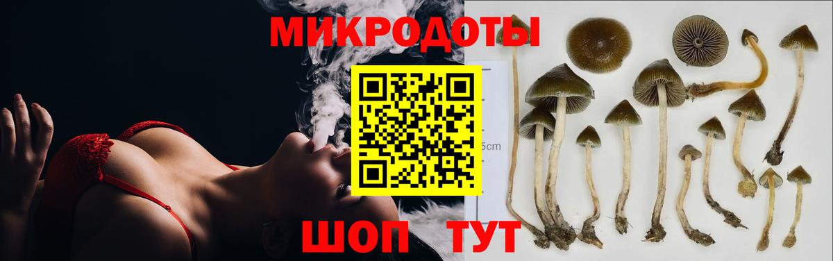 Саяногорск  Галлюциногенные грибы мицелий  Вход с VPN 